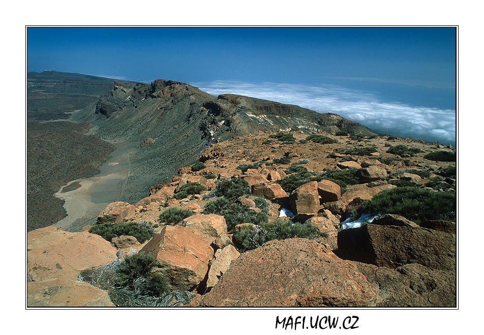 canaria06_05_34 .jpg